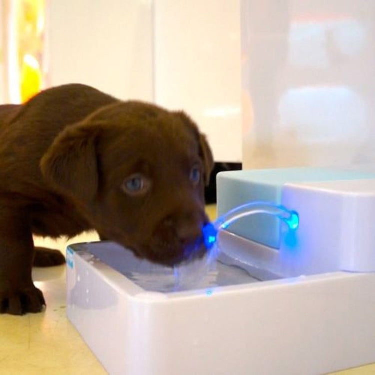 Brown cat drinking from white automatic water dispenser with blue flow light