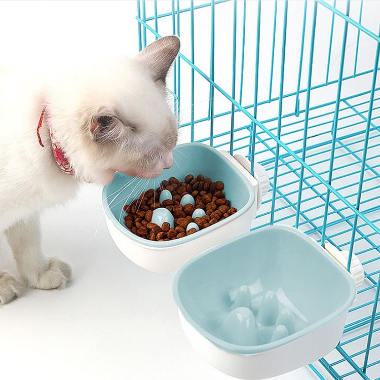 Two-compartment pet feeding bowl set, white base with teal water cup and kibble