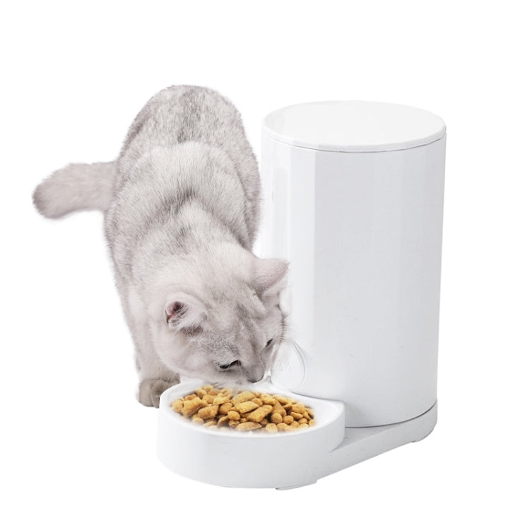 White automatic cat water dispenser with food dish, gray cat eating from the bowl