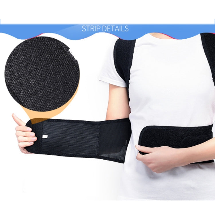 Black back brace waistband with mesh panel and adjustable strap, close-up detail