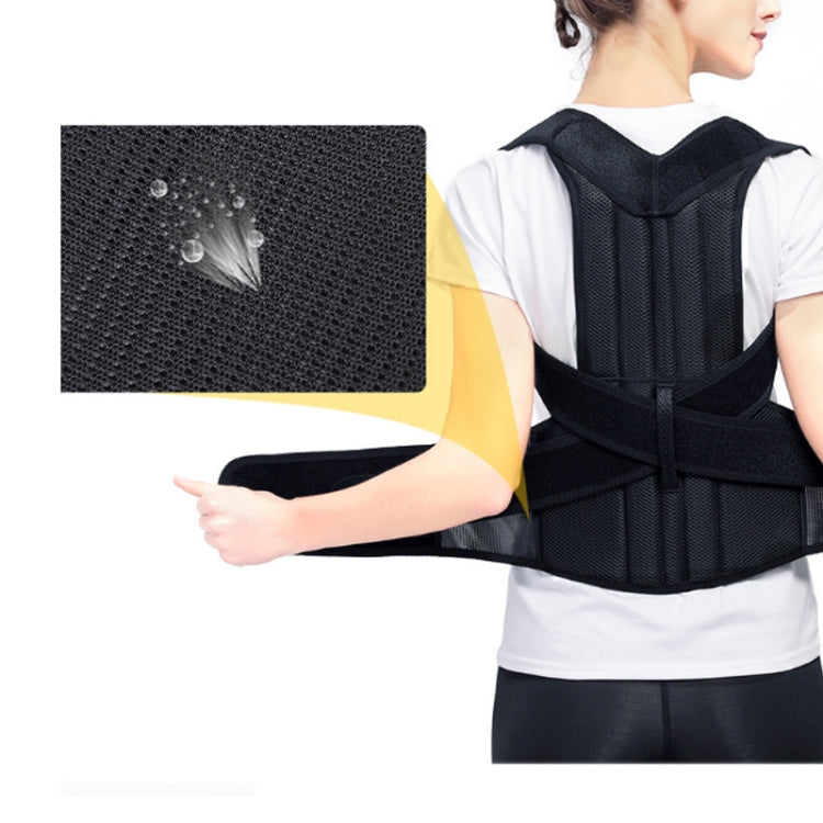 Black spine support belt with perforated mesh back panel and reinforced padding, worn