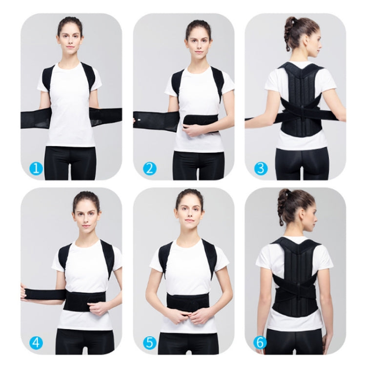 Photo collage showing black posture belt placement steps on model
