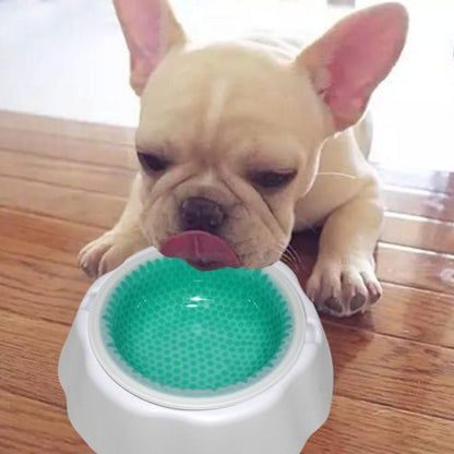 White pet cooling bowl with green textured insert, with a dog drinking from it