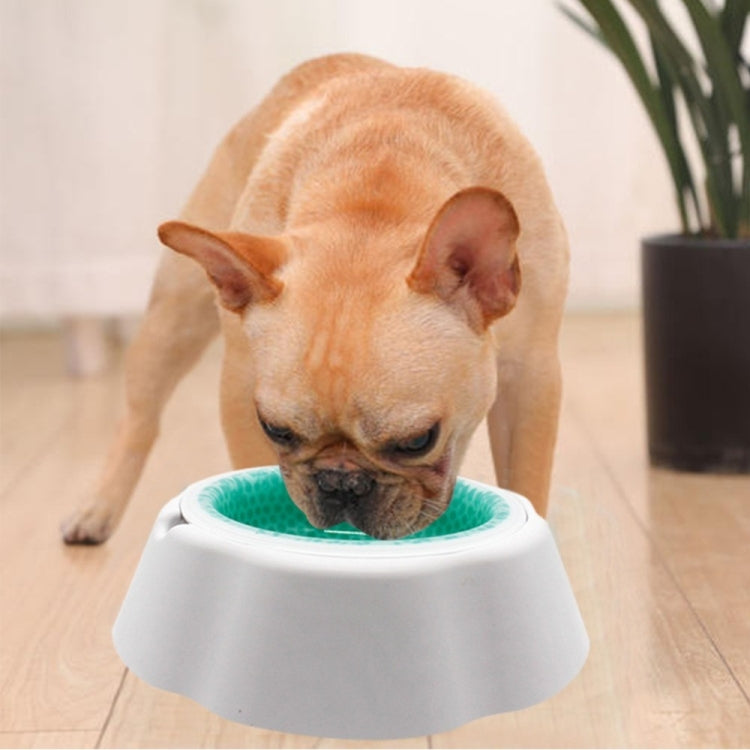 White pet cooling bowl with green insert, dog drinking from the bowl