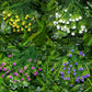 TBD0364853301A_3.jpg@fd2905a75e627f34bc6781e8e21ae094