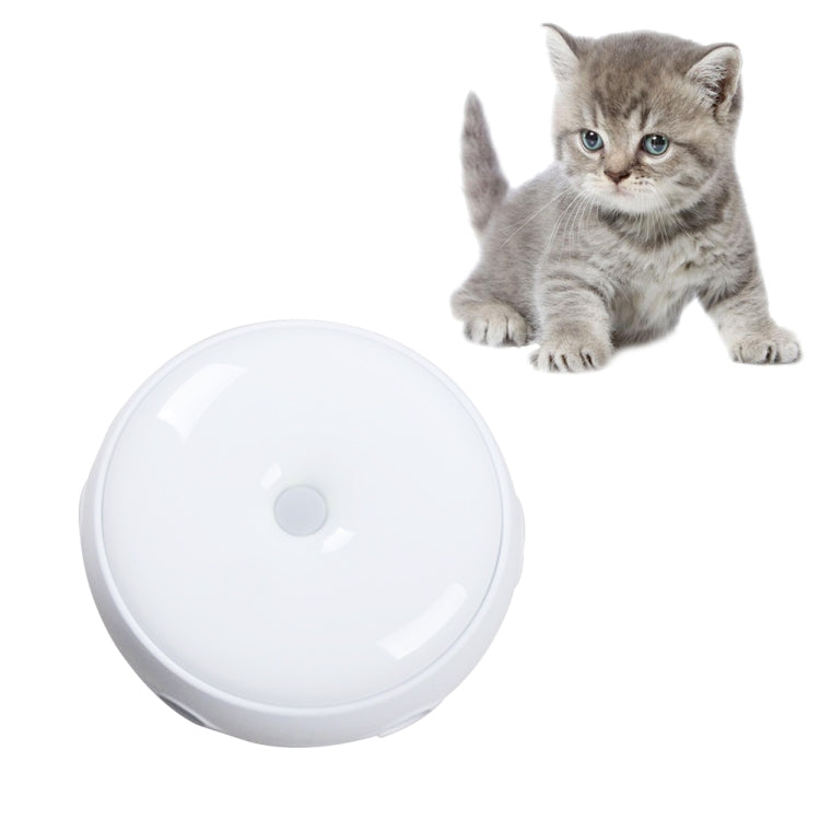 Small gray kitten beside a white circular rotating cat toy