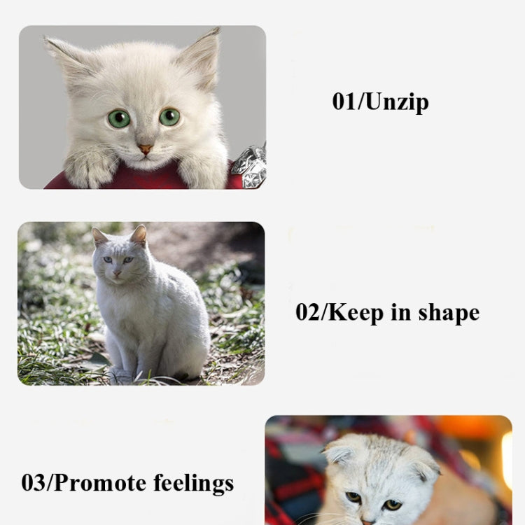 Cat toy set feature cards with white kitten photos and instruction panels