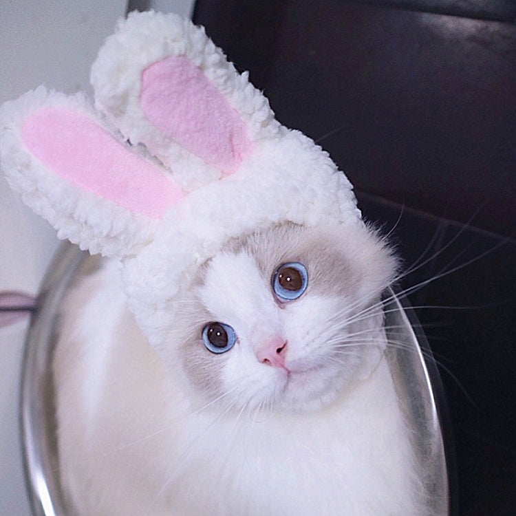 White plush cat headband with upright rabbit ears, pink inner ear pads