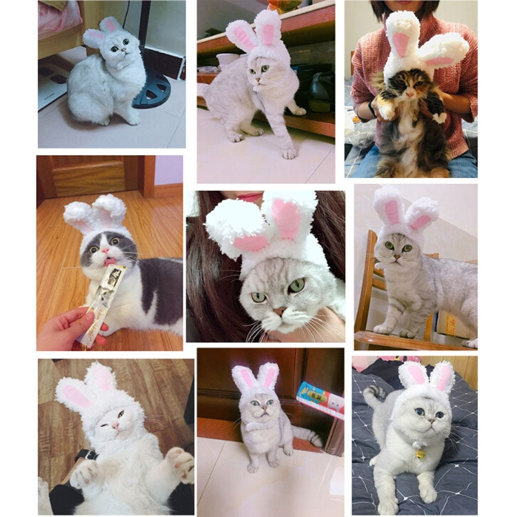 Collage of cats wearing white fluffy rabbit-ear headwear
