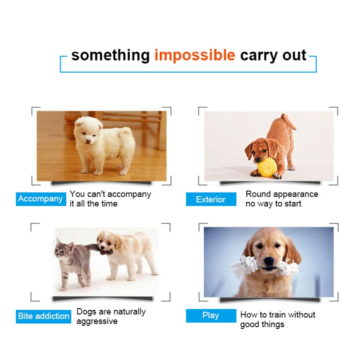 Dog plush bite toy info graphic with multiple pet play scenes