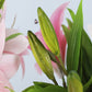 TBD0388395201A_5.jpg@b764335a8155697387f39c04d6e24fa9