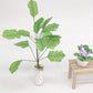 Mini dollhouse banana tree plant with green leaves in white pebble vase