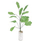 Mini dollhouse banana tree plant, green leaf branches in white pebble vase
