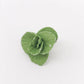 5 PCS 1:12  Mini House Toy Vegetable Simulation Cabbage Kitchen Accessory Mini House Toy, 5 PCS Cabbage