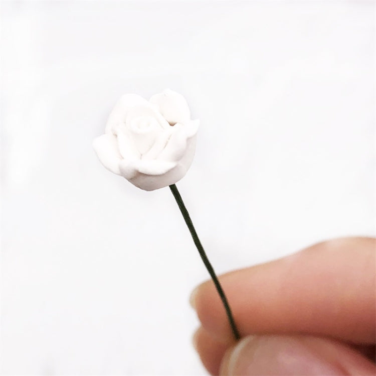 White mini rose on a green stem held between fingers