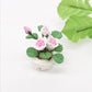 Close-up mini potted rose ornament with pink-and-white roses and green leaves in white pot