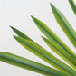TBD0404598801A_6.jpg@b582e278396c868f12337e6c556ed51e