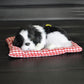 Simulation Will Call the Sleeping Dog Ornaments Toy Creative Doll Children Gift