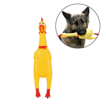 Yellow rubber screaming chicken pet toy with red accents, 16 cm long.