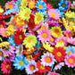 TBD0414450801G_1.jpg@3eda460426cf46f50e42fe3b7f0af450