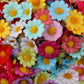 TBD0414450801G_4.jpg@4e2886b1bb3368f1c6eff76259884e13
