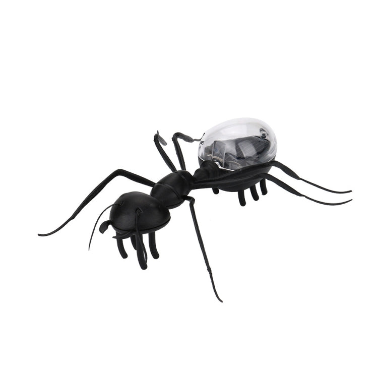 Black ant robot toy with clear solar dome, detailed legs and antenna, side view