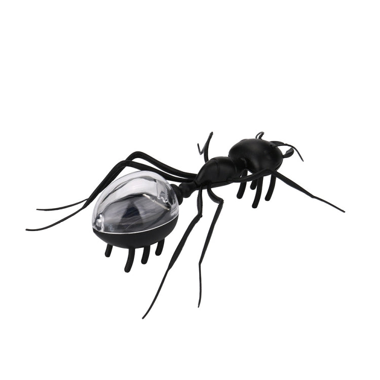 Ant-style robot toy with black body and clear dome solar light, angled view with legs