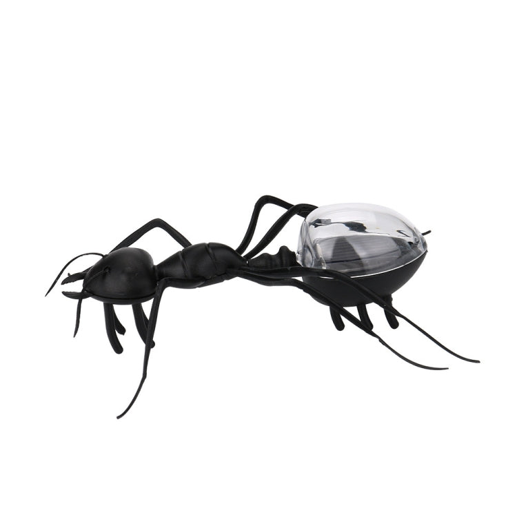 Solar ant robot toy with black body and clear dome, long antenna and extended legs