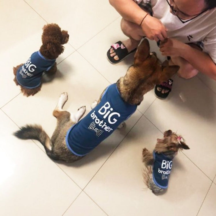Blue pet shirts on dogs, featuring printed text graphics