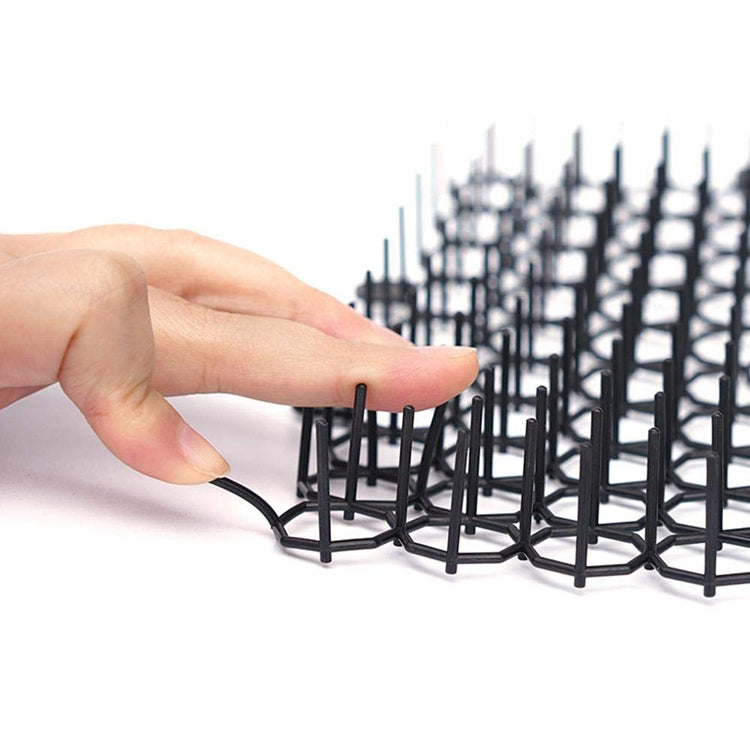 TBD0426406703_B1.jpg@764ebb833c48b12f8d9e42e71eac3199