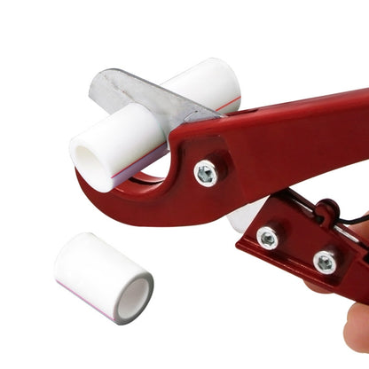 TBD04267599_5.jpg@ad61d1e6855829a6bcb0dc3472a91d8b