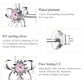 Sterling silver flower stud earrings with pink zircon center and platinum plating