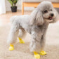 Cartoon dog waterproof rain boots set, yellow boots on small dog