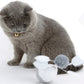 Gray cat with bell tag next to white electric egg toy with pom‑pom and feather arms