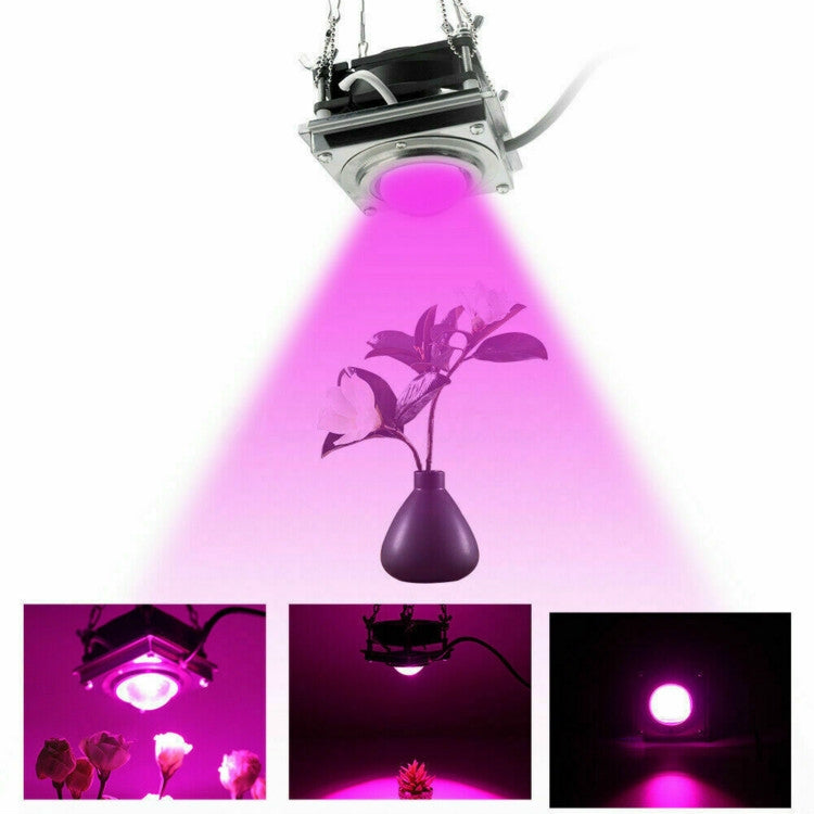 COB Plant Growth Light LED Vegetable Planting Succulent Light, Full Spectrum, Sunligh