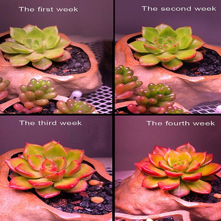 COB Plant Growth Light LED Vegetable Planting Succulent Light, Full Spectrum, Sunligh