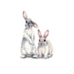 Two Rabbits Home Decoration Removable Wall Stickers, Two Rabbits
