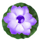 TBD0460985301D_1.jpg@40f6b546211852ab8a71af5e3897c504