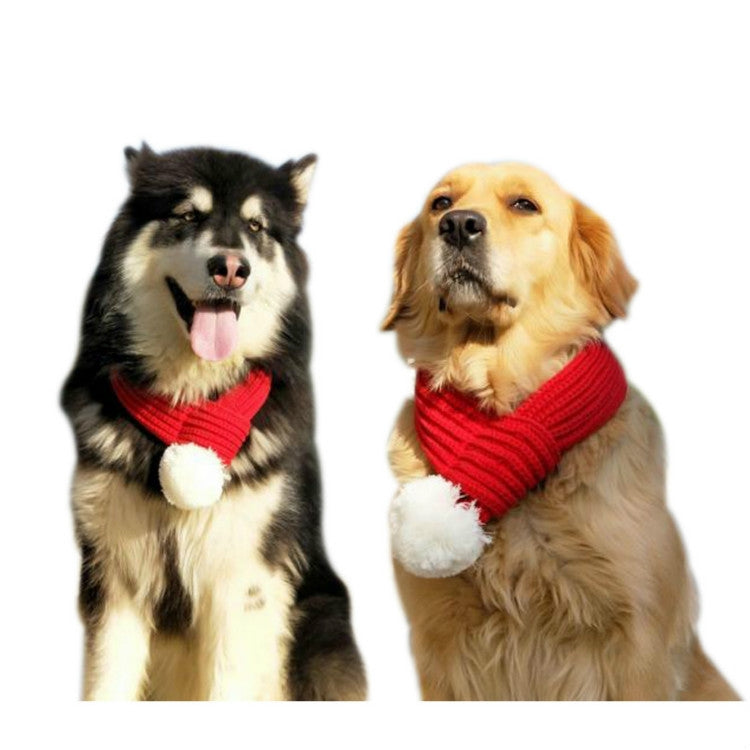 Two dogs wearing red knitted pet scarves with white pom-poms
