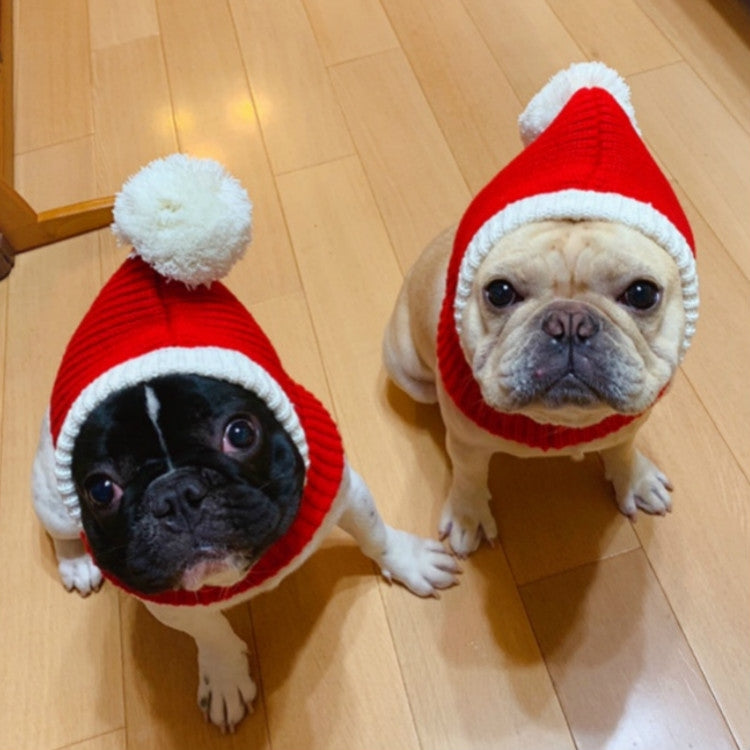 Red wool pet Christmas hats with cream trim and pom-poms on two dogs