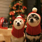Red wool pet Christmas hats with cream trim and pom-poms on two dogs
