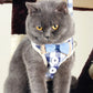 Blue and white check-pattern dog chest harness vest with bow and snap closures