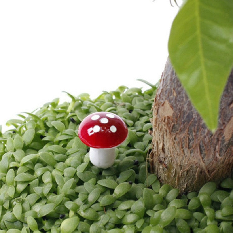 Mini foam mushroom on green ground cover, red cap with white spots, white stem