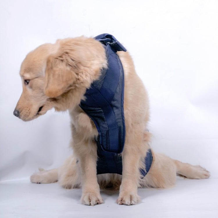 Dark blue dog chest harness with padded support, worn by a seated dog facing left