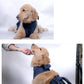Dark blue dog chest harness with front handle, worn while seated with a hand assisting