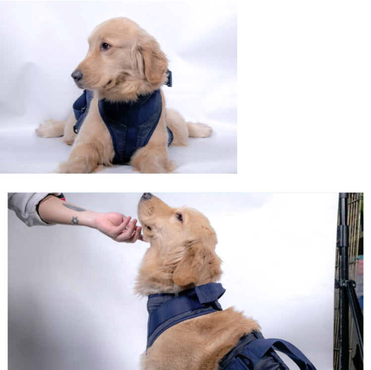 Dark blue dog chest harness with front handle, worn while seated with a hand assisting