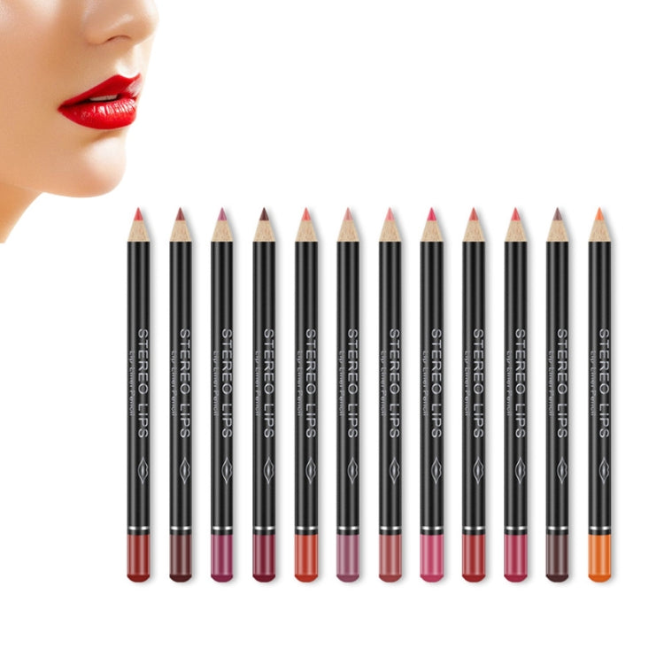 Set of nude matte lip liner pencils, multiple shades with pointed tips