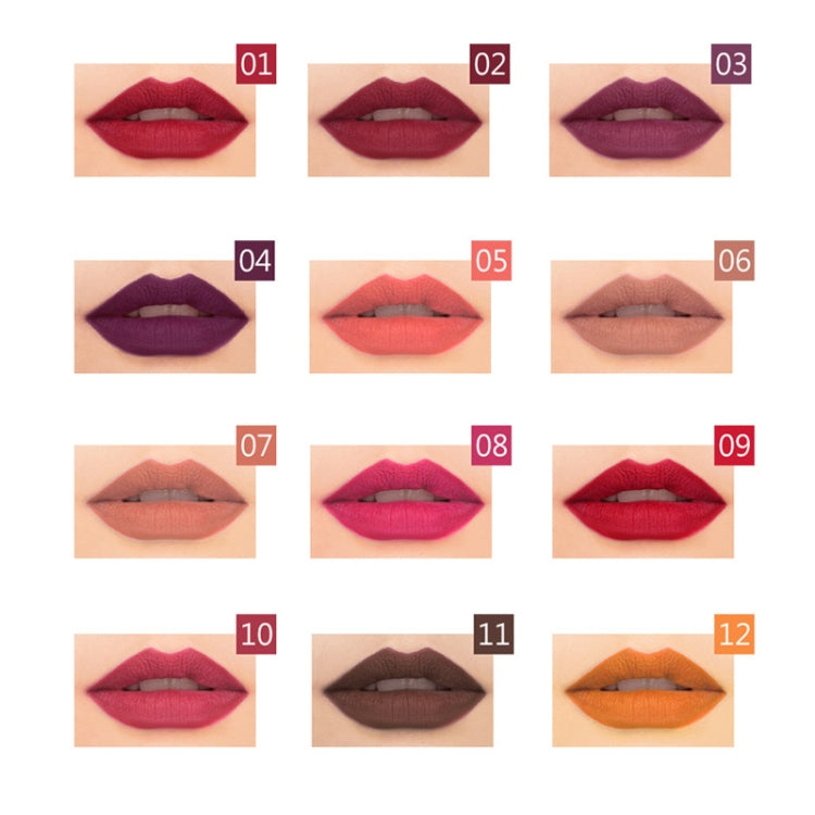Twelve matte lip color swatches on lips, labeled 01–12