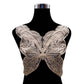 Butterfly lace collar with embroidered wing pattern, beige lace on black display