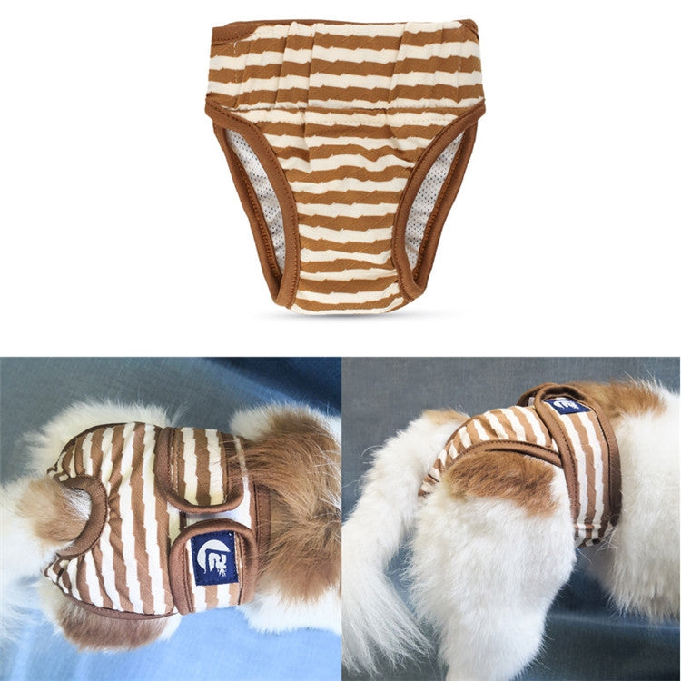 Striped dog physiological pants in brown and white, front view with leg openings